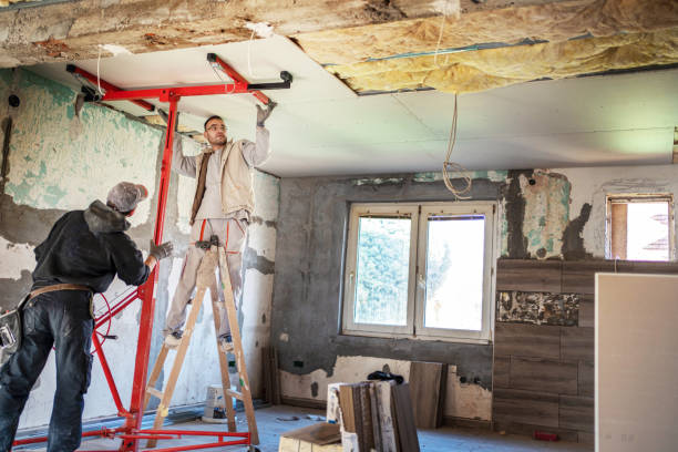 Best Cellulose Insulation  in Newark, NY