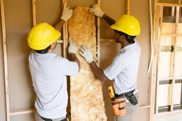 Best Commercial Insulation Contractor  in Newark, NY