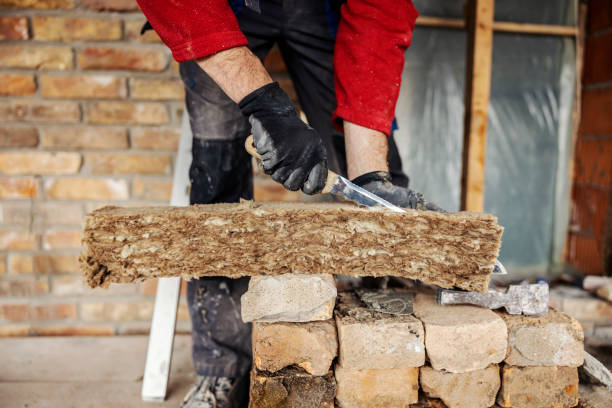 Best Attic Insulation Installation  in Newark, NY