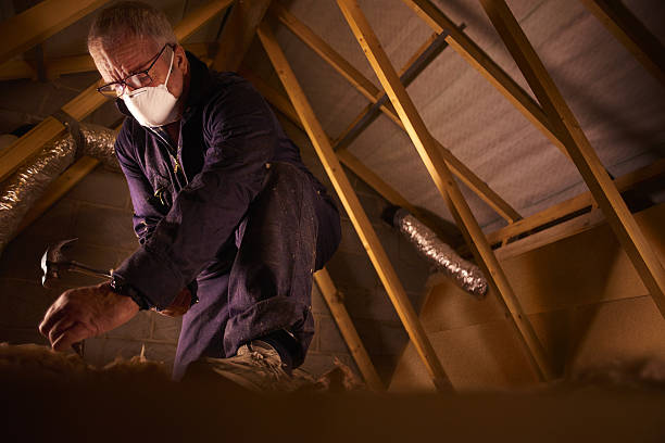 Insulation for New Construction in Newark, NY
